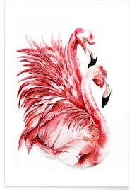 Unlike its american and chilean counterparts, greater flamingos have long pink legs and a black tip making it very for them to be identified. Pink Flamingo Ii Poster Juniqe