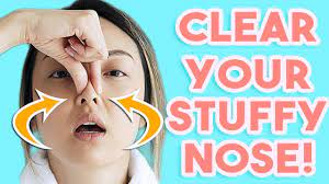 How To: Clear A Stuffy Nose Instantly! - Youtube