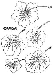 Hawaiian Hibiscus Colouring Pages Flor Hawaiana Dibujo Paginas Para Colorear De Flores Dibujos De Flores