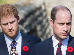 Prince Harry teases William secret that he 'wouldn't want world to know'