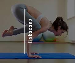 Your bakasana stock images are ready. What Is Bakasana