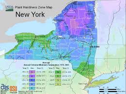 new york usda map of hardiness planting zones