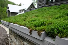Southern living books this link opens in a new tab. Southern Living Green Idea Home 2008 Greenroofs Com