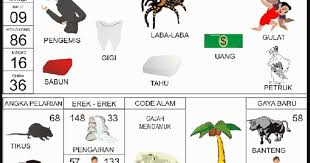 Erek erek mimpi main judi, article main judi di erek erek, what we write can make you understand.happy reading. Erek Erek Pohon Sawit