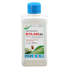 Dylan 10WG