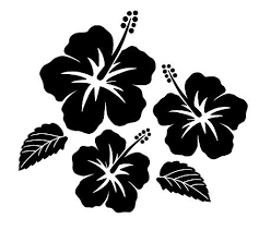 Free Image On Pixabay Hibiscus Flower Tropic Bloom Hibiscus Flower Drawing Hawaii Flower Tattoos Hibiscus Flower Tattoos