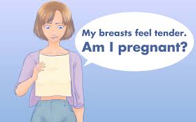 Breast pain in pregnancy is very common, especially in the first trimester. Breasts Tender Before Missed Period Early Pregnancy Sign Wehavekids Family