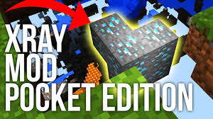 The name, brand and assets are the . Xray Minecraft Education 11 2021