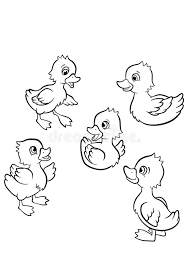 Bob the builder coloring page 05. Five Little Cute Ducklings Swim On The Lake And Stand On The Grass Stock Vector Illustration Of Happy Activity 68696136