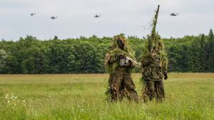 1500 x 1100 jpeg 80kb. Images Soldiers Military Disguise Bundeswehr Two Grass 2560x1440