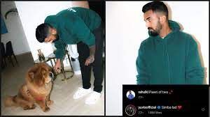 Kl rahul is also the first indian to score a century on odi debut. Pet Love Kl Rahul Shares Adorable Photo With Her Pet Dog Simba Yuvraj Singh Shares Pro Tips Iwmbuzz