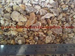 Getah mengeras dikumpulkan dan digunakan sebagai kemenyan dan mur. Gum Benjamin Styrax Benzoin Kemenyan Menyan Buy Gum Benjamin Product On Alibaba Com