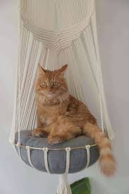 Macrame Cat Hammock Hanging Cat Bed Pet Wall Furniture Boho Etsy Cat Hammock Diy Cat Hammock Homemade Cat Beds