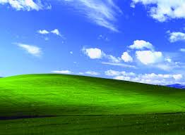 What are some of the most reviewed products in windows? Happy Birthday Windows News Center Microsoft