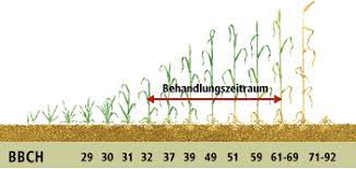 T_sum insekten prognosemodell zum auftreten von insekten. Ackermanager Weizen Braunrost Raiffeisen Com
