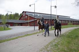Hingsten el barone 111 och hans ryttare malin baryard johnsson vill bidra till hästars välfärd. Lurbo Ridklubb Kammar Hem Segern I Hallbarhetstavlingen Ridsport