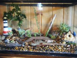 A Fish Tank Converted Into Terrarium With Diff Kinds Of Cactus Succulent Moss River Rocks And Dri Diy Succulent Terrarium Fish Tank Terrarium Diy Fish Tank