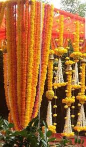 We did not find results for: Sale On 30 Pcs Indian Wedding Decor Indian Marigold Garland Etsy