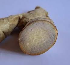 How to grow hawaiian blue ginger: Types Of Ginger Root And Ornamental Ginger Plants With Pictures