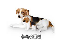 Image result for bígl