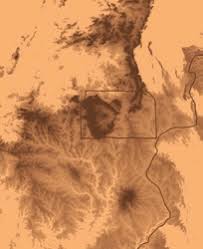 Image result for Dewevrella cochliostema