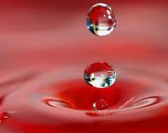 Amore Liquido La Fragilita Dei Legami Affettivi La Mente E Meravigliosa Gocce Di Rugiada Goccioline D Acqua Gocce D Acqua