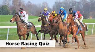 This is the best way to practice your concept of history and improve. 15 Horse Racing Quiz Trivia Questions To Test Your Knowledge