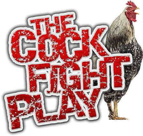cock fight
