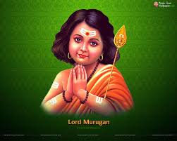 Murugan Wallpapers Top Free Murugan Backgrounds Wallpaperaccess Indian hindu god bala murugan vinayaga image high resolution desktop wallpaper download. murugan wallpapers top free murugan