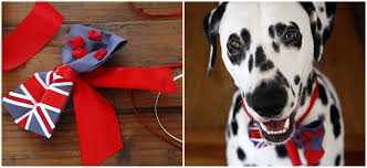 Unfollow cat bow tie collar to stop getting updates on your ebay feed. Diy No Sew New Zealand And Australian Flag Bow Ties Dalmatian Diy