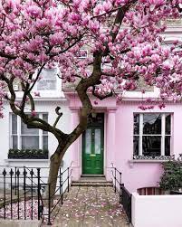London Is A Tough Choice Cherry Blossoms Nope Magnolias Maybe Cherry Blossoms Definitely The Mag Beautiful Gardens Blossom Simply Beautiful