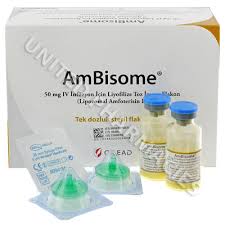 Relapse rate high with amphotericin b liposomal following initial clearance of parasites in patients who are immunocompromised. Ambisome Liposomal Amphotericin B United Pharmacies