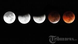 Gerhana matahari cincin terjadi manakala saat puncak gerhana matahari terjadi, posisi bumi diluar angkasa berada pada wilayah antumbra. Gerhana Bulan Penumbra 11 Januari 2020 Bisa Dilihat Di Seluruh Wilayah Indonesia Asal Tribun Kaltim