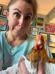 Drying off after bath all in molt now just just a few to jump nest then  finish for 24