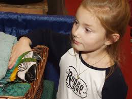 Less than a week until the Montreal SNAC! Who's excited?! We know we are!  🎉 Join us for an amazing weekend filled with all things pets! 🐾 📅  October 18th: 10 AM -