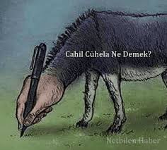 Cahil Cuhela Ne Demek Cuhela Tdk Anlami Nedir