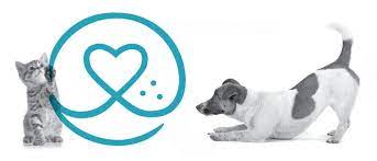 That said, if you plan to purchase pet. Find Pet Insurance Naphia