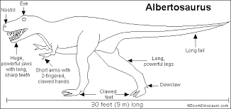 Albertosaurus were probably able to run faster than tyrannosaurus, because they have lighter body and longer hind legs. Pin On Dinosaurs For K 12 Schoolfy