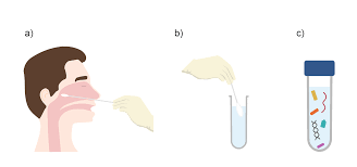 Antigen Tests For Covid 19 Medmastery