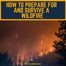How To Prepare For And Survive A Wildfire Natural Disaster Preparedness Survival Outdoor Survival Kit