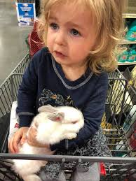 where to find large hot dog buns?