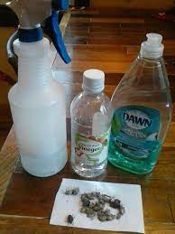 Wash immediately with water and dish soap any area of your body that came into contact with one of nature's most annoying flora to remove the plant's oil, called urushiol, and prevent a rash. Bug Spray Step 1 2c Hot Water Step 2 1c Vinegar Step 3 1 2 C Dawn Must Do It In Order To Avoid Stink Bug Repellent Stink Bug Spray Stink Bugs