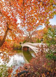Fall Foliage Around The Bow Bridge In Central Park By Nyclovesnyc Autumn Scenery Scenery Autumn In New York