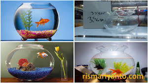 Selain bisa buat hobi bisa juga di jadikan bisnis. Ukuran Aquarium Mini Kumpulan Materi Pelajaran Dan Contoh Soal 3