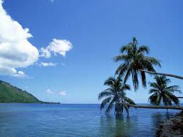 New and best 97,000 of desktop wallpapers, hd backgrounds for pc & mac, laptop, tablet, mobile phone. Google Free Wallpaper 1024x768 Picserio Com