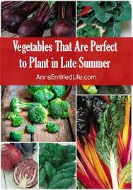 As always, check the seed package or the catalog for a variety that does well with colder temperatures. Vegetables That Are Perfect To Plant In Late Summer Indoor Vegetable Gardening Fall Garden Vegetables Winter Vegetables Gardening