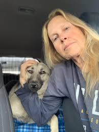 Solo tired from his freedom trip.