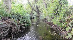 Estoy muy emocionada de compartir con ustedes el primer video de la  mini-serie en la que estoy trabajando para el Laboratorio de Ecosistemas  Acuáticos dirigido por la Dra. Megan Fork. "Beneath the