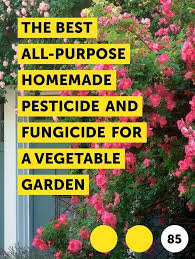 The Best All Purpose Homemade Pesticide And Fungicide For A Vegetable Garden In 2020 Container Gardening Vegetables Fungicide Organic Pesticide