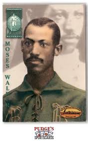 Moses Walker 1994 Ted Williams #114